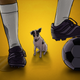 Illustration for article titled Soccer Superstitions Are Like National Anthems: Every Country's Got One